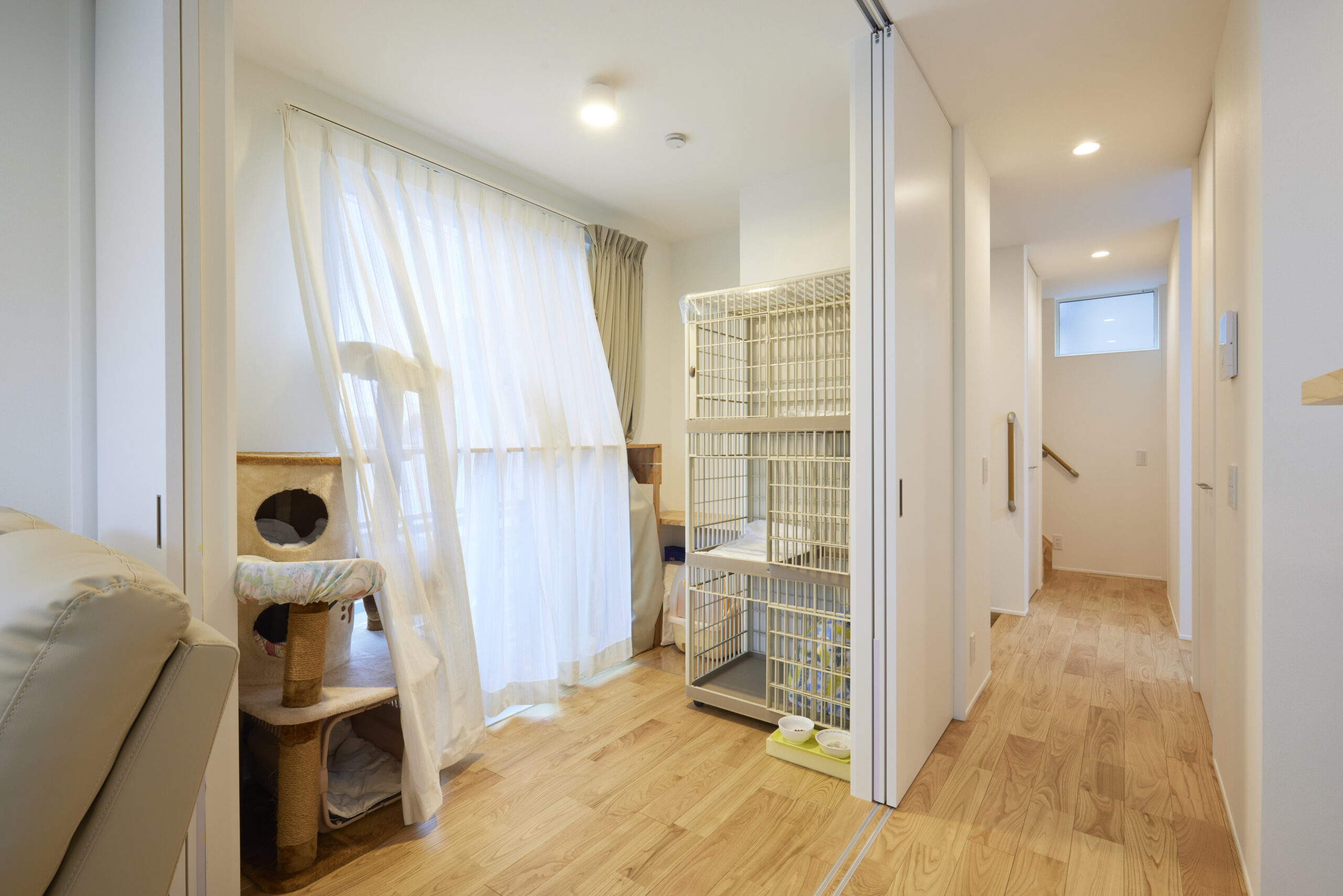 フリースペース